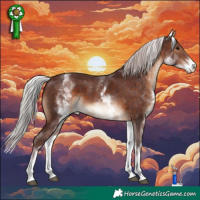 Horse Color:White Spotted Chocolate Silver Brown