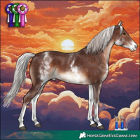 Horse Color:White Spotted Chocolate Silver Brown