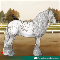Horse Color:White Spotted Silver Grullo Blanket