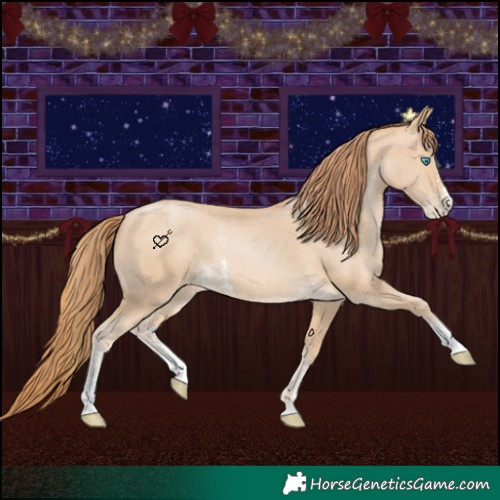 Horse Color:Buckskin Pearl Sabino