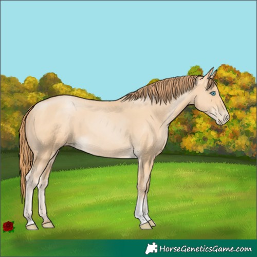 Horse Color:Buckskin Pearl Sabino 