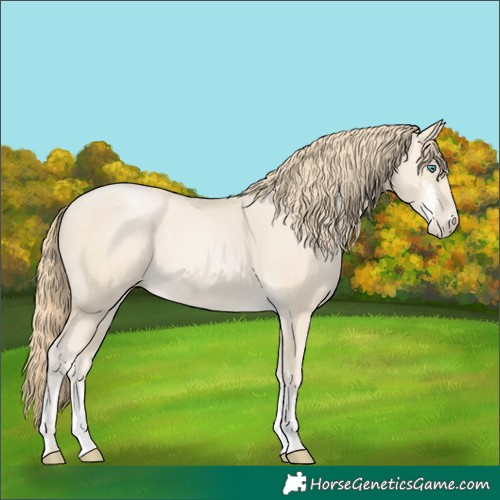 Horse Color:Smoky Black Pearl Sabino 