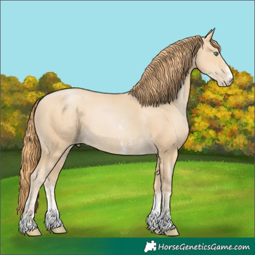 Horse Color:Smoky Black Pearl Sabino