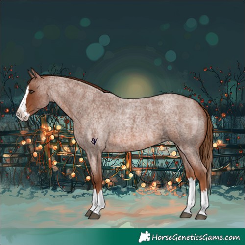 Horse Color:Red Roan Splash 