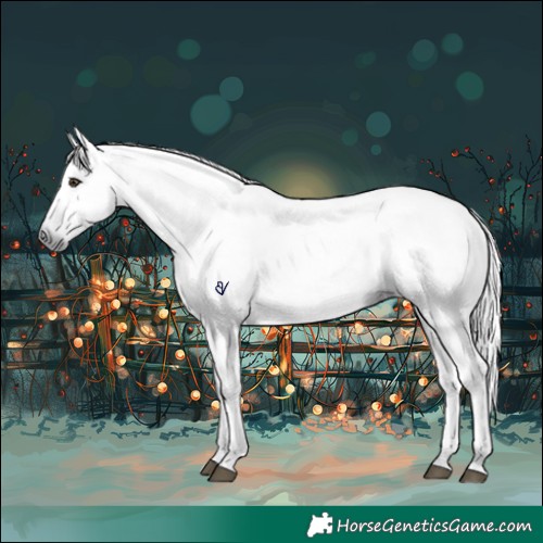 Horse Color:Gray Liver Chestnut 