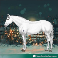Horse Color:Gray Liver Chestnut
