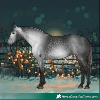 Horse Color:Gray Liver Chestnut