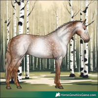 Horse Color:Gray Chestnut 