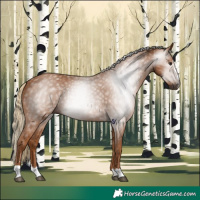 Horse Color:Gray Chestnut 