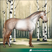 Horse Color:Gray Chestnut 