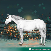 Horse Color:Gray Red Dun 