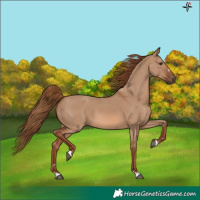 Horse Color:Red Dun 