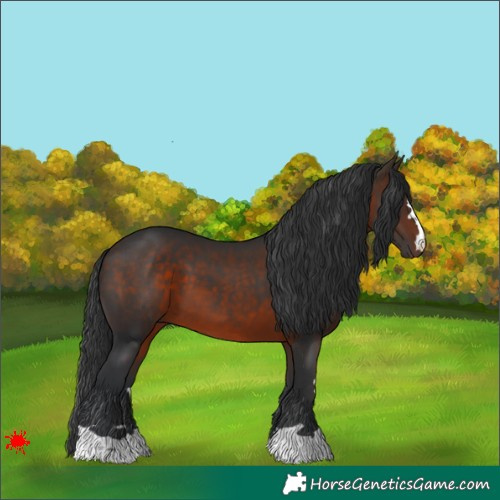Horse Color:Brown 
