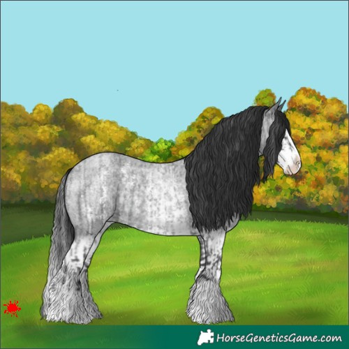 Horse Color:Blue Roan Sabino Splash  and Blue Roan Sabino Splash 