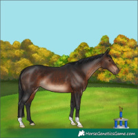 Horse Color:Brown 