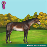 Horse Color:Brown 