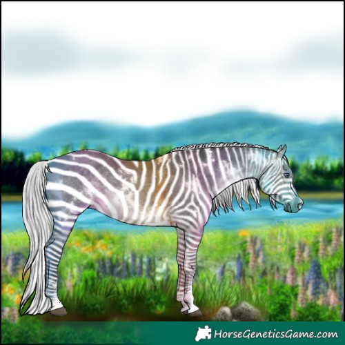 Horse Color:White Spotted Silver Brown Chinchilla