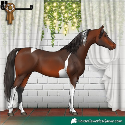 Horse Color:Bay Tobiano 
