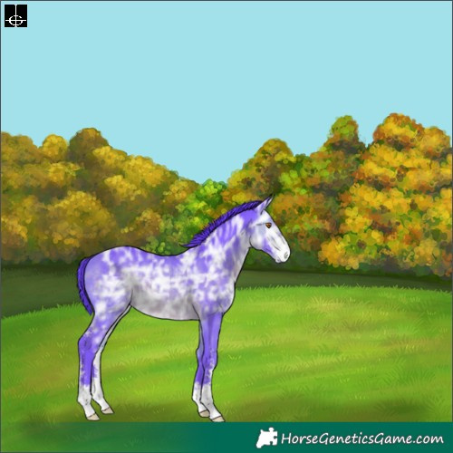 Horse Color:Watercolor Brown Ice Mushroom Sabino