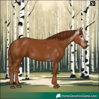 Horse Color:Gray Chestnut