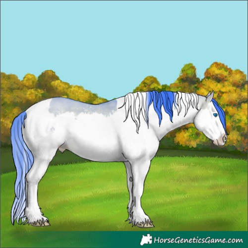 Horse Color:Watercolor Bay Dun Sabino Splash Tobiano 