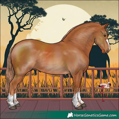 Horse Color:Chestnut Rabicano 