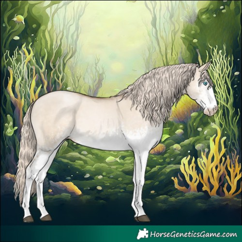 Horse Color:White Spotted Chocolate Palomino Pearl Dun 