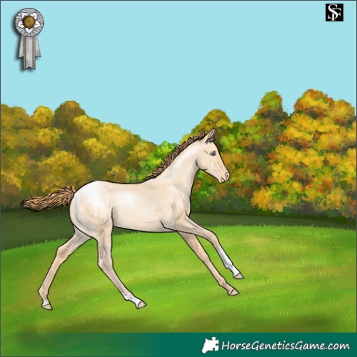 Horse Color:Smoky Grullo Pearl Appaloosa 