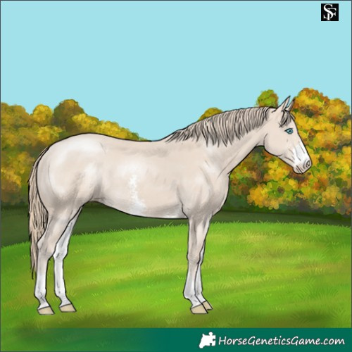 Horse Color:Smoky Creme Sabino 