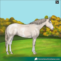 Horse Color:Smoky Creme Sabino