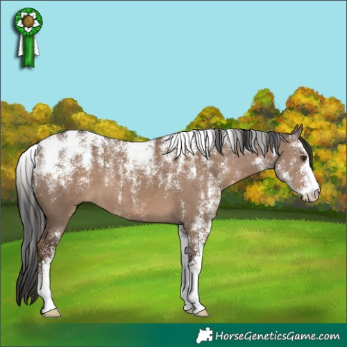 Horse Color:Powder White Liver Red Dun 