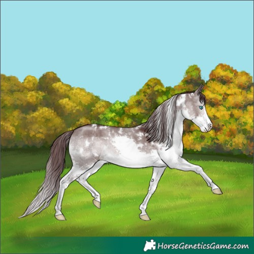Horse Color:Platinum White Spotted Chocolate Brown Dun Splash 