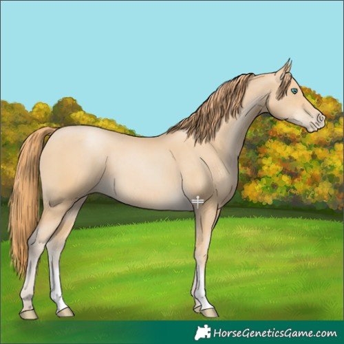 Horse Color:Smoky Black Pearl Sabino 