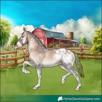 Horse Color:Painted Liver Red Onyx Ice Appaloosa