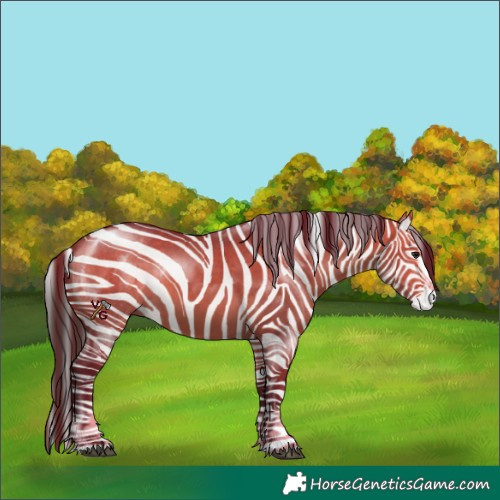 Horse Color:Bay Dun  and Bay Dun 