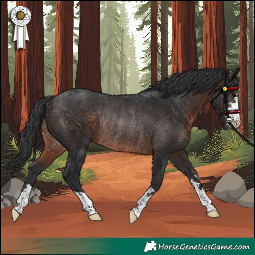 Horse Color:Unknown 