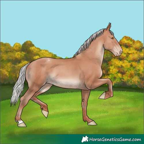 Horse Color:Silver Classic Champagne Appaloosa 
