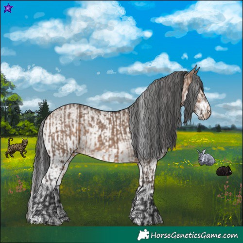 Horse Color:Brown Dun and White Spotted Brown Dun