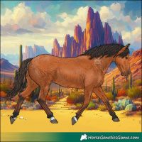 Horse Color:Bay 