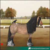 Horse Color:Bay Dun and Bay Dun Tobiano