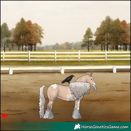 Horse Color:White Spotted Silver Bay Dun Appaloosa 