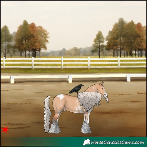 Horse Color:White Spotted Silver Bay Dun Appaloosa 