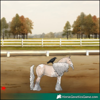 Horse Color:White Spotted Silver Bay Dun Appaloosa