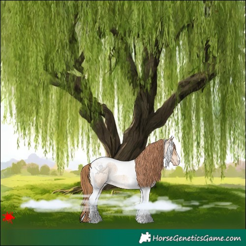 Horse Color:Red Dun Roan Tobiano Varnish 