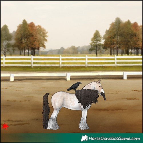 Horse Color:White Spotted Bay Roan Dun 