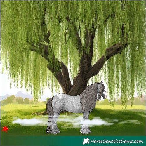 Horse Color:Smoky Blue Roan Varnish 
