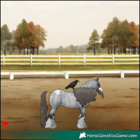 Horse Color:Smoky Blue Roan Appaloosa 