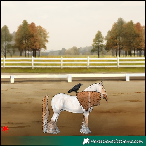 Horse Color:White Spotted Red Dun Roan 