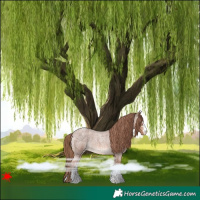 Horse Color:Red Roan Varnish 