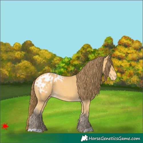Horse Color:Amber Cream Champagne Blanket 